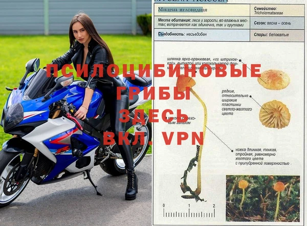 эйфоретик Нязепетровск