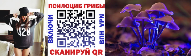 Псилоцибиновые грибы GOLDEN TEACHER  Менделеевск 