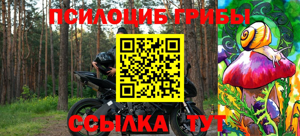 Псилоцибиновые грибы мицелий Менделеевск