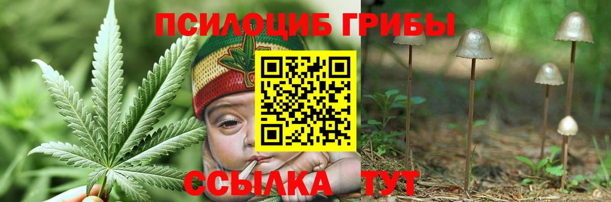Псилоцибиновые грибы прущие грибы  Псилоцибиновые грибы прущие грибы  Менделеевск 