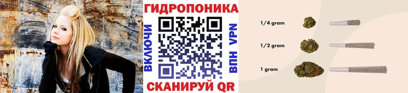 Шишки марихуана гибрид  это Telegram  Менделеевск  сколько стоит 